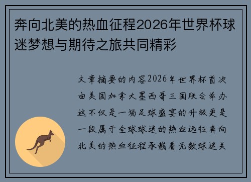奔向北美的热血征程2026年世界杯球迷梦想与期待之旅共同精彩